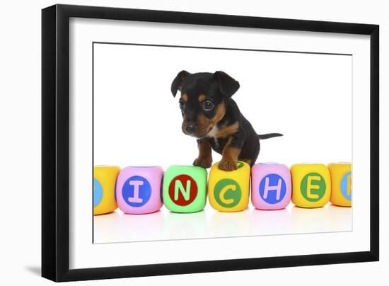 Puppies 062-Andrea Mascitti-Framed Photographic Print