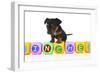 Puppies 062-Andrea Mascitti-Framed Photographic Print