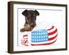 Puppies 063-Andrea Mascitti-Framed Photographic Print