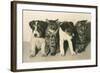 Puppies and Kittens-null-Framed Art Print