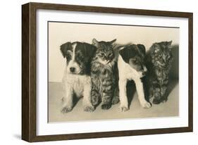 Puppies and Kittens-null-Framed Art Print