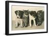 Puppies and Kittens-null-Framed Art Print