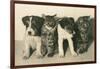 Puppies and Kittens-null-Framed Art Print