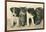 Puppies and Kittens-null-Framed Art Print