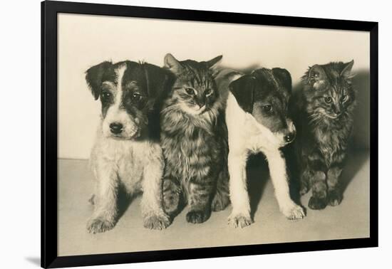 Puppies and Kittens-null-Framed Art Print