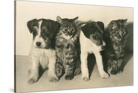 Puppies and Kittens-null-Stretched Canvas