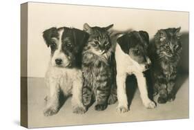 Puppies and Kittens-null-Stretched Canvas