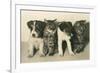 Puppies and Kittens-null-Framed Premium Giclee Print