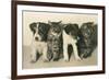 Puppies and Kittens-null-Framed Premium Giclee Print