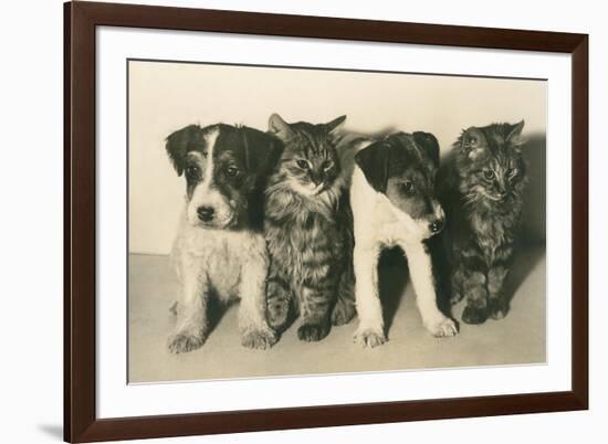 Puppies and Kittens-null-Framed Art Print