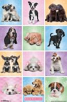 Puppies - Cuties-null-Lamina Framed Poster