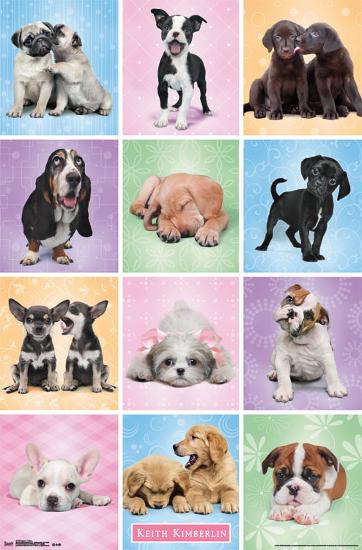 Puppies - Cuties-null-Lamina Framed Poster