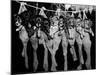 Puppies Hanging from a Clothesline-Bettmann-Mounted Photographic Print