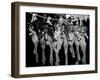 Puppies Hanging from a Clothesline-Bettmann-Framed Photographic Print