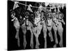 Puppies Hanging from a Clothesline-Bettmann-Stretched Canvas