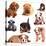 Puppies of Different Breeds, Dachshund, Shar Pei, Rottweiler, Bulldog, French Bulldog.-Lilun-Stretched Canvas