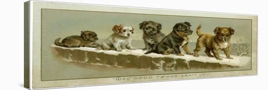 Puppies on a Snowy Wall-null-Stretched Canvas