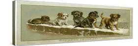 Puppies on a Snowy Wall-null-Stretched Canvas