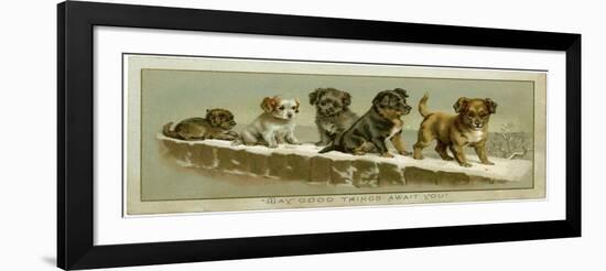 Puppies on a Snowy Wall-null-Framed Art Print