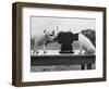 Puppies Play with Camera-null-Framed Photographic Print