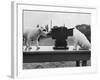 Puppies Play with Camera-null-Framed Photographic Print