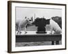 Puppies Play with Camera-null-Framed Photographic Print