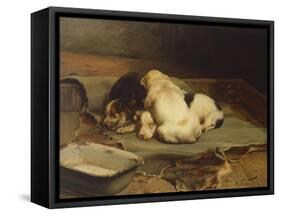 Puppies Sleeping-William Henry Hamilton Trood-Framed Stretched Canvas