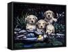 Puppies to the Rescue-Jenny Newland-Framed Stretched Canvas