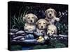 Puppies to the Rescue-Jenny Newland-Stretched Canvas