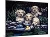 Puppies to the Rescue-Jenny Newland-Mounted Giclee Print