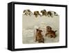 Puppies with Letters-null-Framed Stretched Canvas