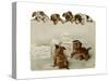 Puppies with Letters-null-Stretched Canvas