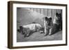 Puppies-null-Framed Photographic Print