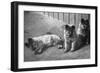 Puppies-null-Framed Photographic Print