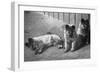 Puppies-null-Framed Photographic Print