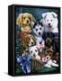 Puppies-Jenny Newland-Framed Stretched Canvas