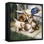 Puppies-Michael Jackson-Framed Stretched Canvas