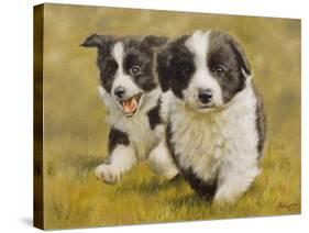 Puppies-John Silver-Stretched Canvas