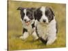 Puppies-John Silver-Stretched Canvas