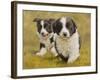 Puppies-John Silver-Framed Giclee Print