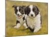 Puppies-John Silver-Mounted Giclee Print