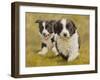 Puppies-John Silver-Framed Giclee Print