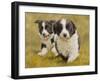 Puppies-John Silver-Framed Giclee Print