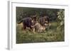 Puppies-Michael Jackson-Framed Giclee Print