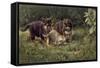 Puppies-Michael Jackson-Framed Stretched Canvas