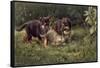 Puppies-Michael Jackson-Framed Stretched Canvas