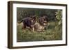 Puppies-Michael Jackson-Framed Giclee Print