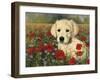 Puppy And Poppies-Bill Makinson-Framed Giclee Print