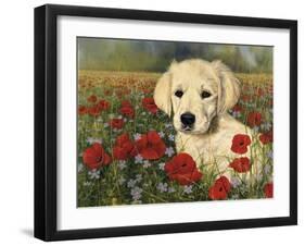 Puppy And Poppies-Bill Makinson-Framed Giclee Print