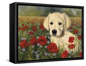 Puppy And Poppies-Bill Makinson-Framed Stretched Canvas